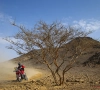 Legendarische Dakarrally weer op gang gereden: Brabec en Al-Attiyah bij eerste winnaars, Roelants maakt zijn debuut