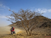 Legendarische Dakarrally weer op gang gereden: Brabec en Al-Attiyah bij eerste winnaars, Roelants maakt zijn debuut